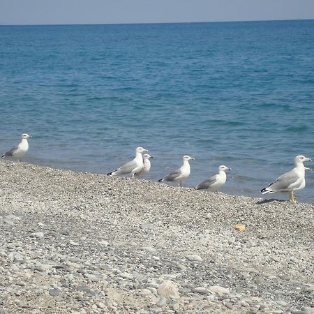 Holiday Home Borgorosso Guardavalle Экстерьер фото