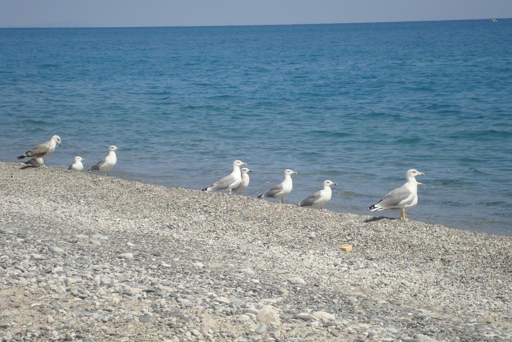 Holiday Home Borgorosso Guardavalle Экстерьер фото
